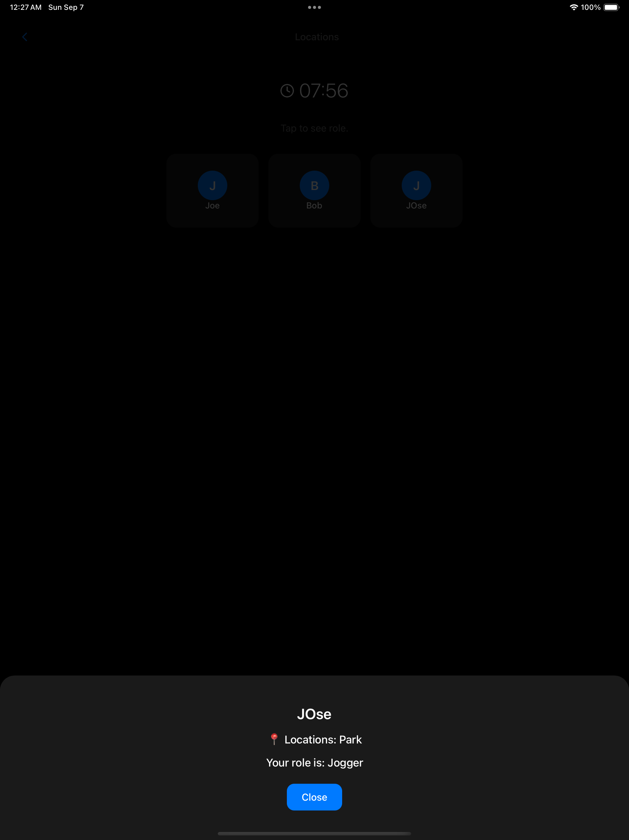 iPad Demo 4